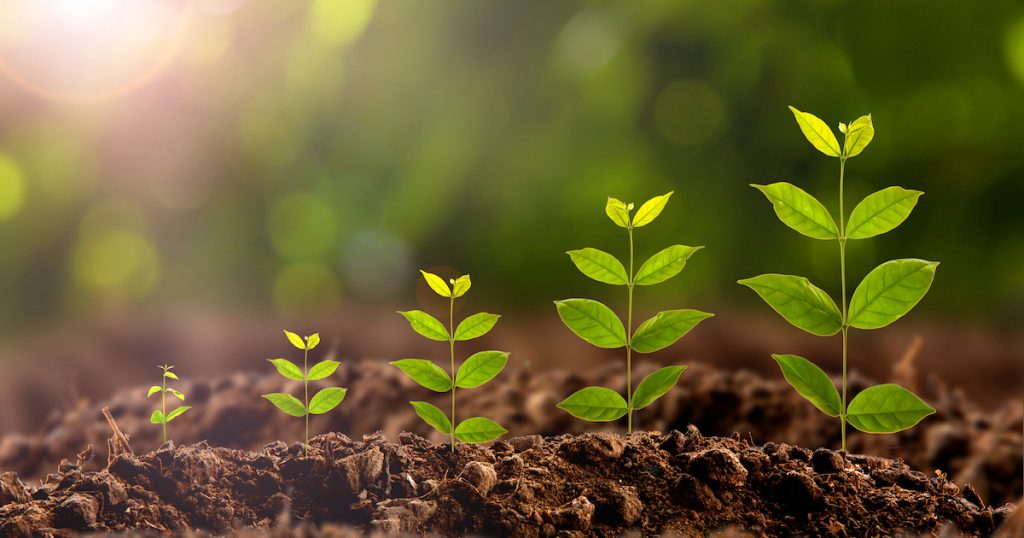 JetBrains Compose Multiplatform for iOS Reaches Alpha