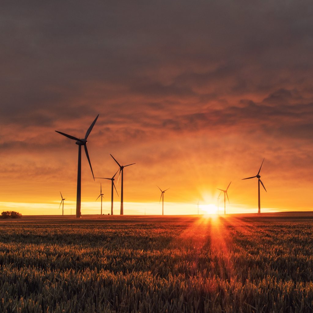 Governments are continuing to push investment into clean energy amid the global energy crisis