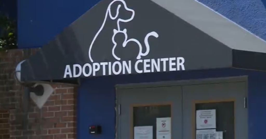 Canine Flu closes Richmond Animal Care and Control for 2 weeks