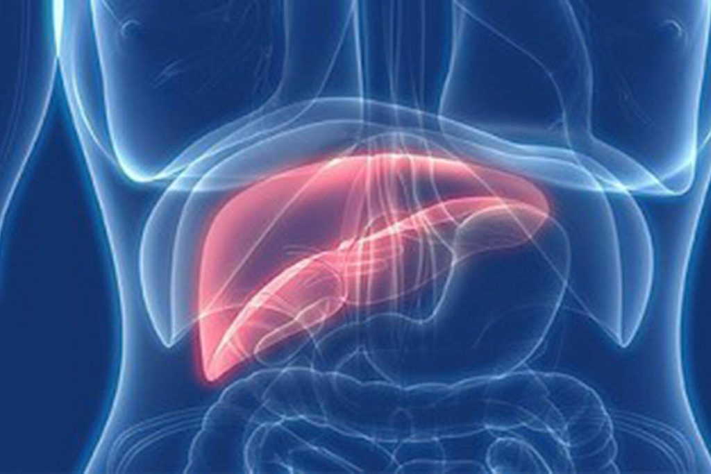 Confirmed hepatitis A case in Nisku prompts public alert