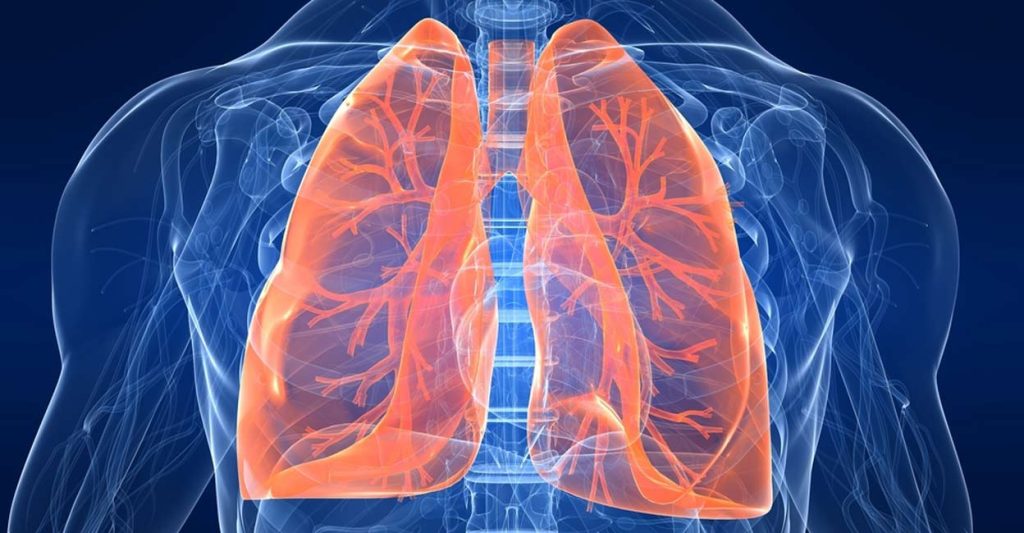 Make omega-3 fatty acids part of your diet, boost lung health | Lifestyle Health | English Manorama – Onmanorama