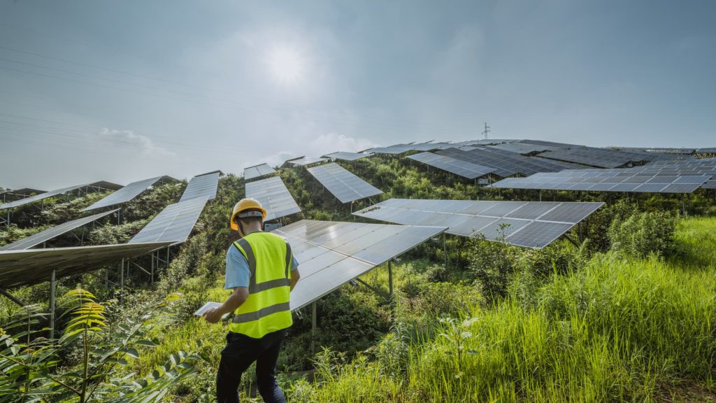 Citi says the clean energy investing opportunity is 'alive and well' despite poor performance. What to buy – CNBC