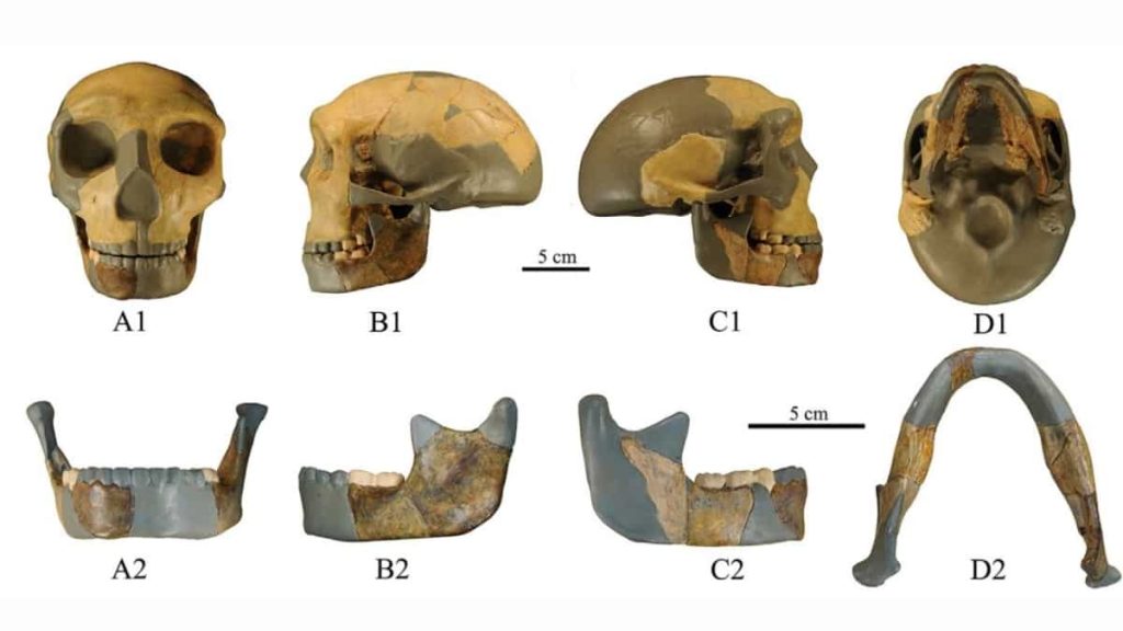 Newly-discovered skull in China baffles scientists. Is it yet another lineage of humans?