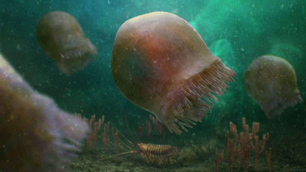 500-million year old jellyfish fossil found in Canada Burgess Shale