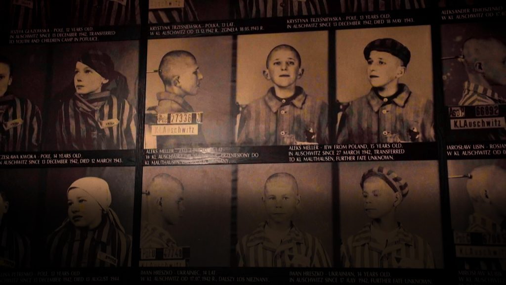 The Holocaust and the Politics of Memory