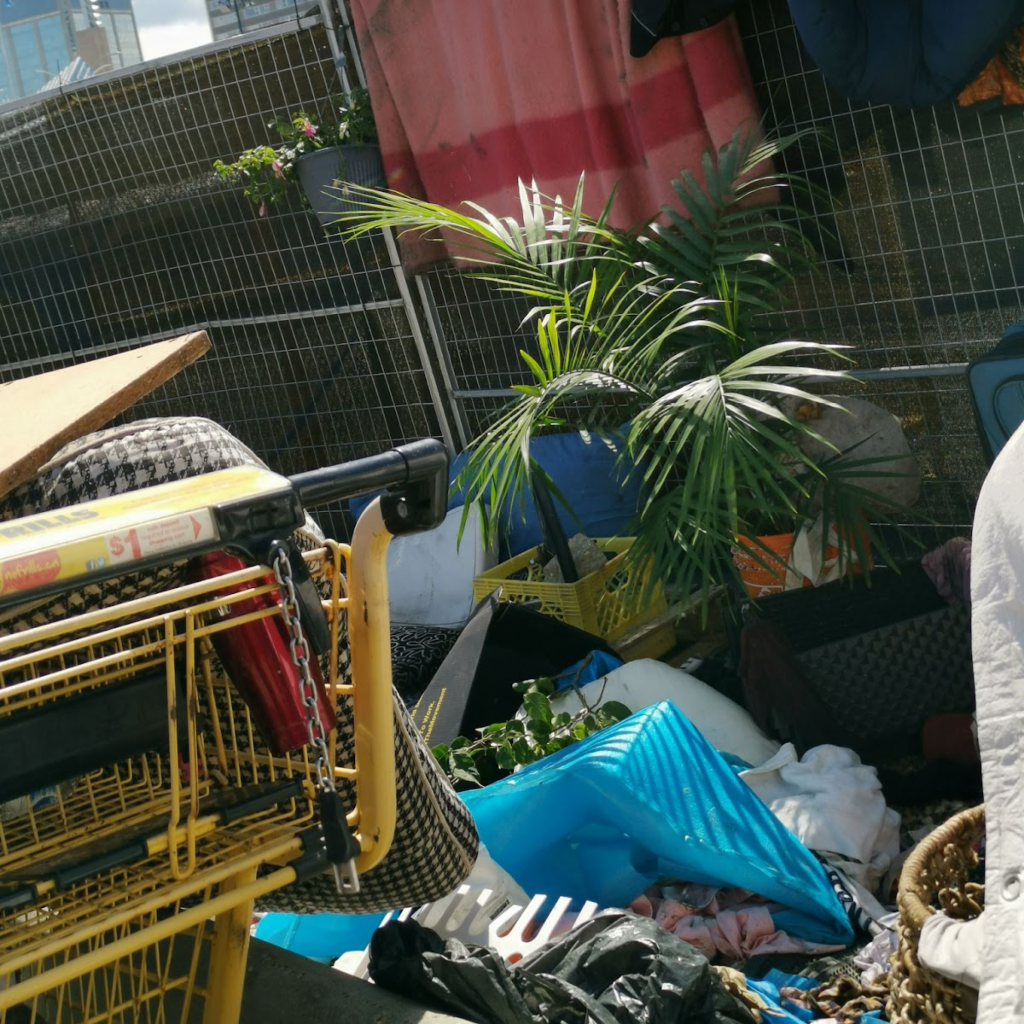 Innovator Spotlight: Riley Hammond | YouAlberta – University of Alberta