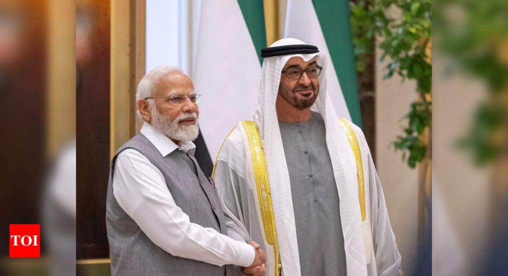 United Arab Emirates weighs investment pledges worth  billion for India