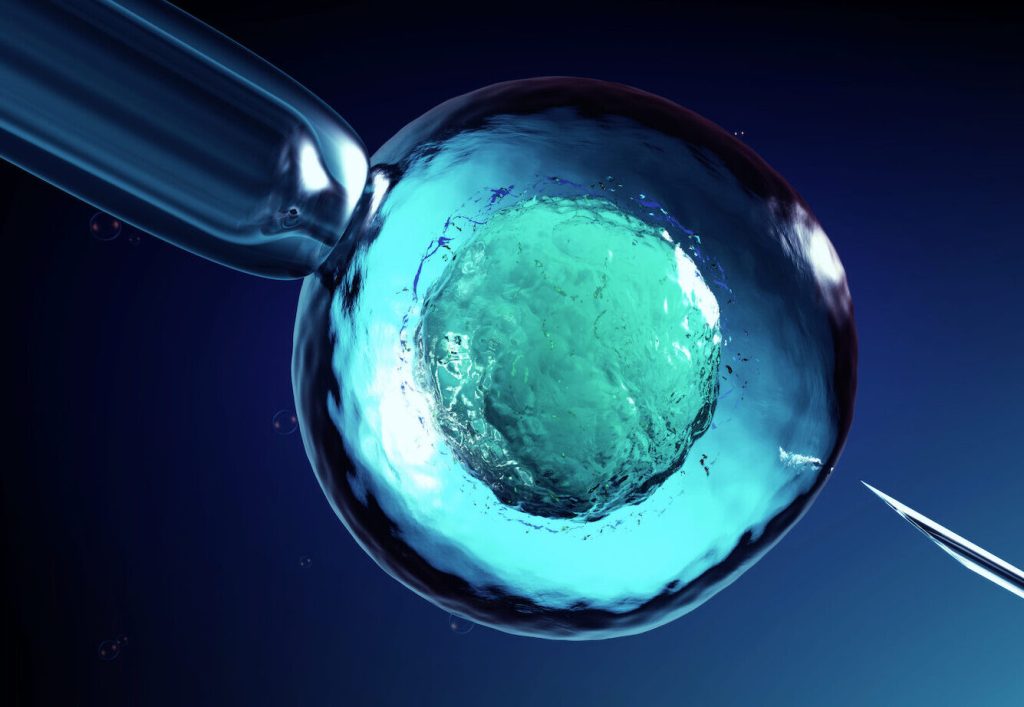 Rhesus Monkey Cloned via Somatic Cell Nuclear Transfer