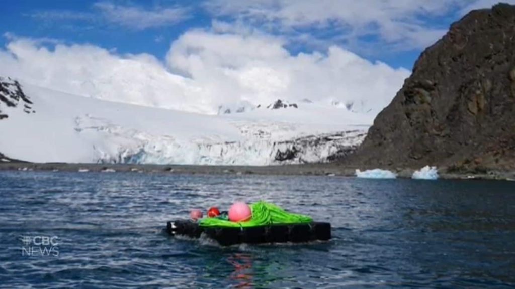 Canadian-built underwater observatory transmitting data from around Antarctica – CBC.ca