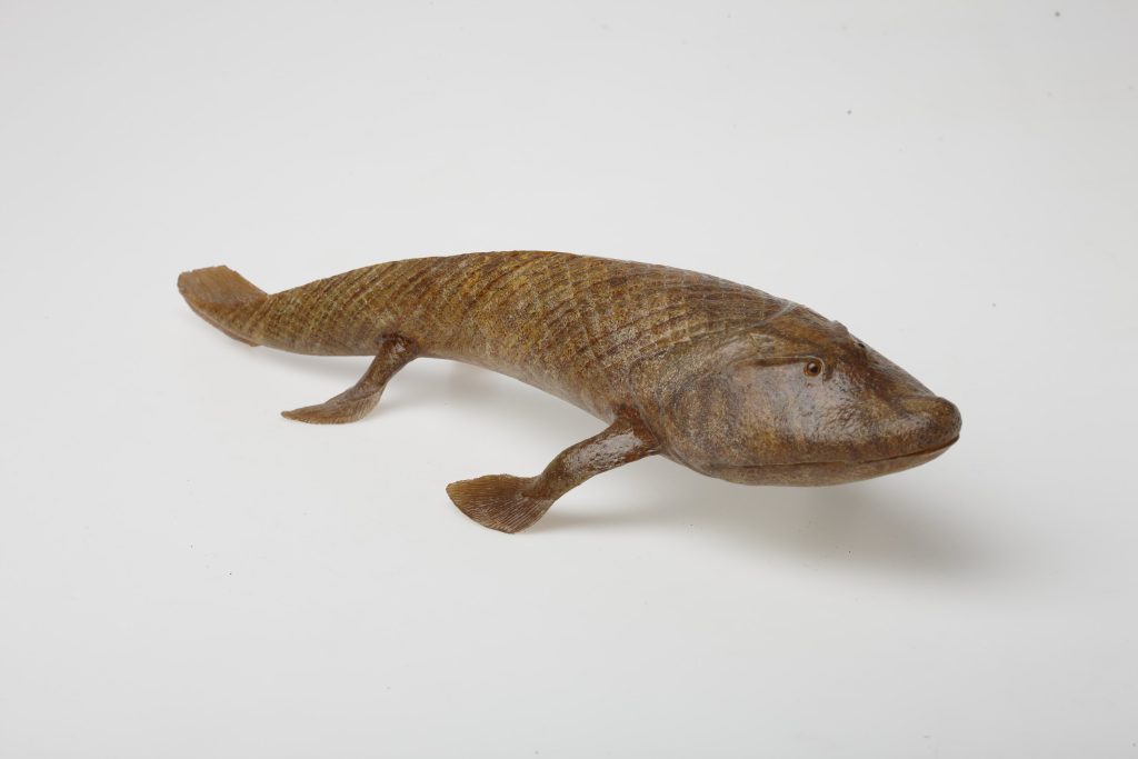 Tiktaalik – The Canadian Encyclopedia