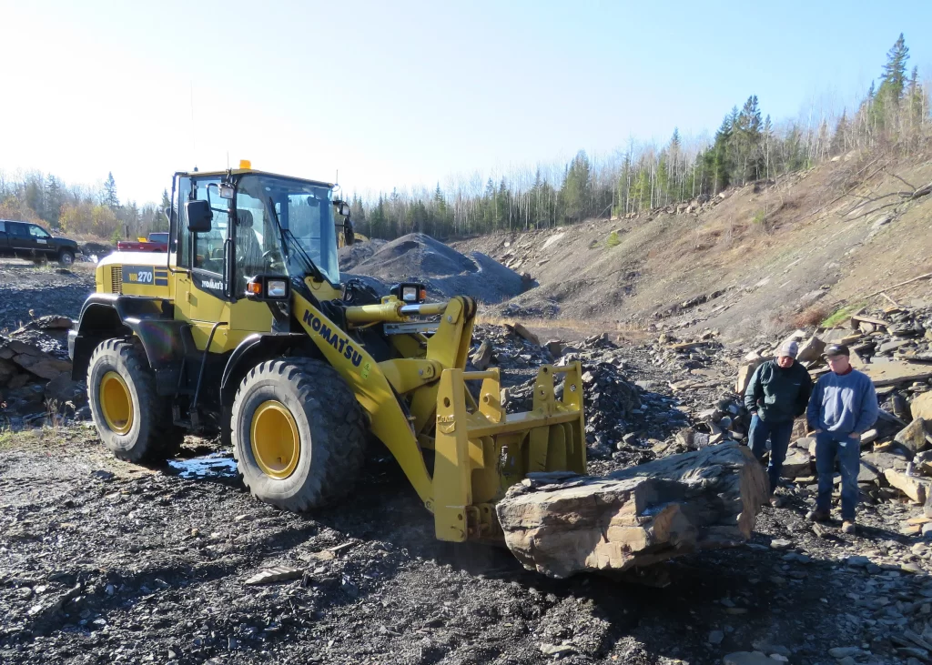 Rare 3D fossilized tree found near Norton – country94.ca