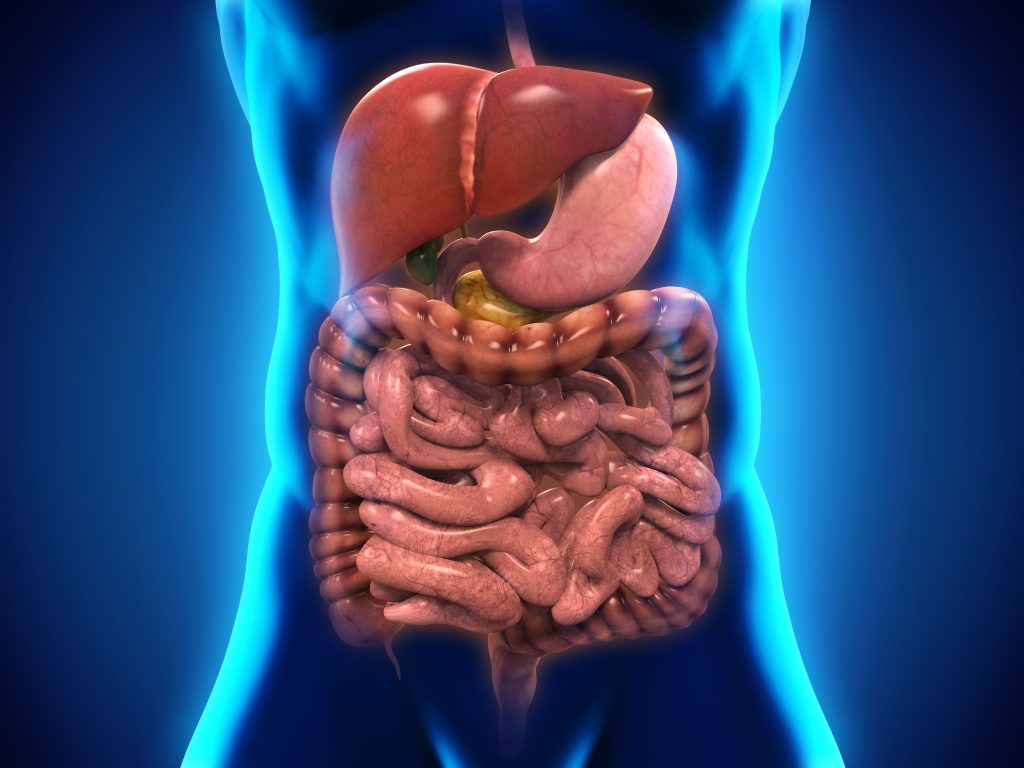 Microbiome Signature Differences May Impact Rectal Cancer Treatment Effect – Cancer Network