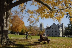 Didn’t Get Into an Ivy? Public Universities Can Be the Next-Best Investment – Bloomberg