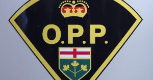 OPP turn to K reward to help solve fatal November 2023 hit and run OPP turn to K reward to help solve fatal November 2023 hit and run