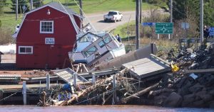 P.E.I. forests emit more carbon than they absorb after damage from 2022 storm