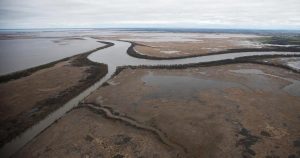 ‘She is dying’: Lawsuit asks Lake Winnipeg to be legally defined as a person