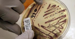 Alberta Health Services declares E. coli outbreak over at central Alberta daycare