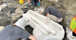 ‘Big Sam’: Paleontologists unearth giant skull of Pachyrhinosaurus in Alberta