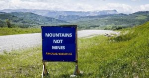 Alberta Energy Regulator to hold Rocky Mountain coal hearings despite legal challenge