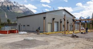 Jasper captive caribou breeding program slowly recovers from summer wildfire