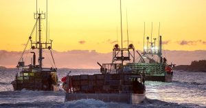 Federal fisheries officers refusing duties because of violence on the water in N.S. Federal fisheries officers refusing duties because of violence on the water in N.S.
