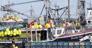 ‘Pattern’ of violence, threats against federal fisheries officers in Maritimes