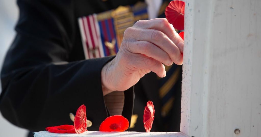 Son lays Remembrance Day wreath for his father in St. John’s, N.L. |