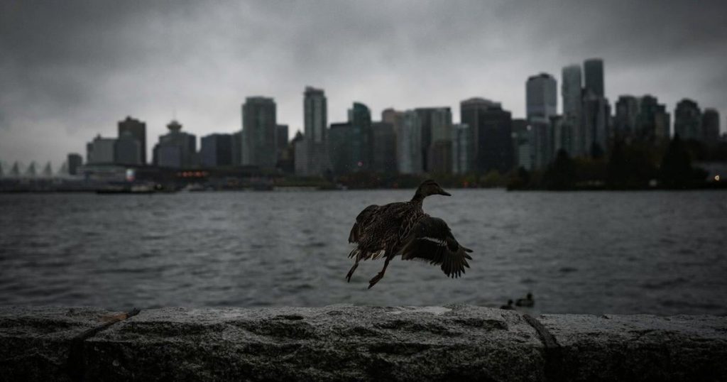Bomb cyclone batters B.C. with hurricane-force winds, cutting roads and power