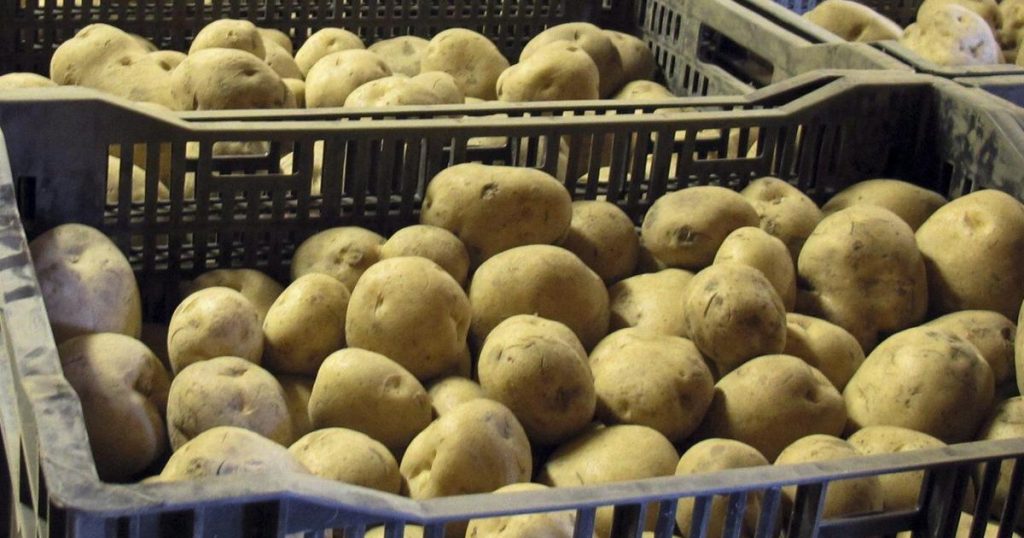 McCain, Cavendish Farms named in U.S. class-actions alleging ‘potato cartel’
