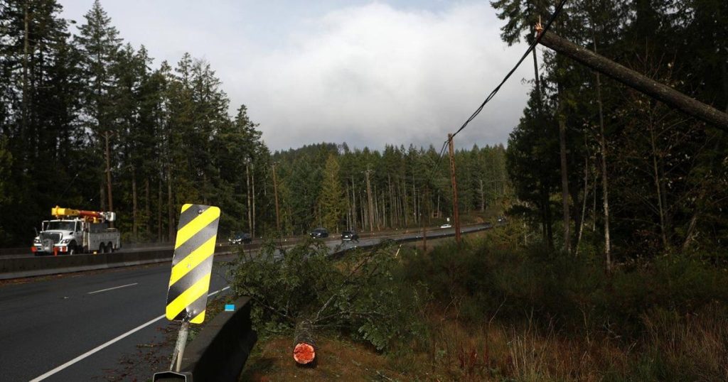 New B.C. storm brings 100 km/h winds with some Vancouver Island homes still in dark