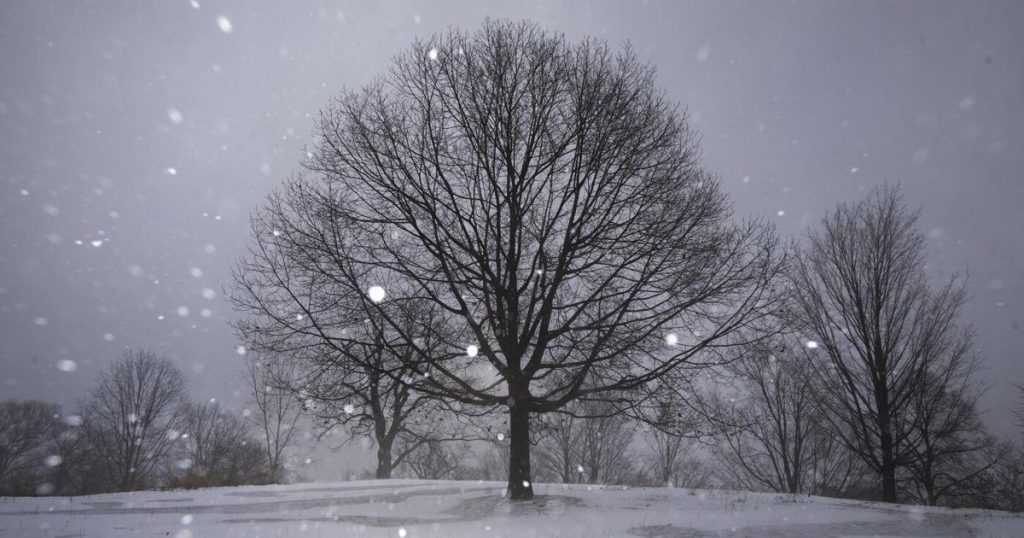 Parts of Ontario could get more than 75 cm of snow this weekend: Environment Canada