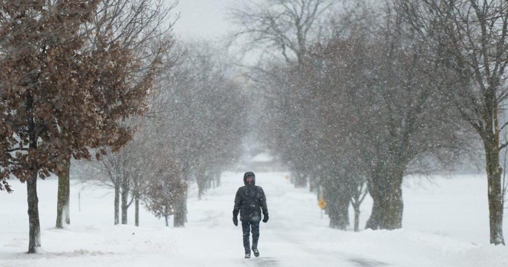Intense Ontario snow strands vehicles, knocks out power as town calls emergency