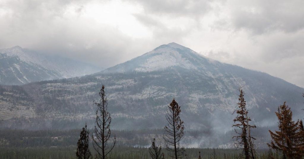 U.S. study links Canadian wildfire smoke to doctor visit spike in Baltimore
