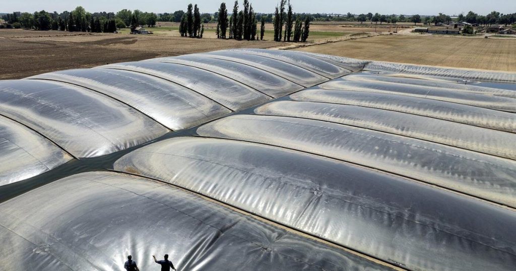 Environmental groups sue over California support for polluting biofuels