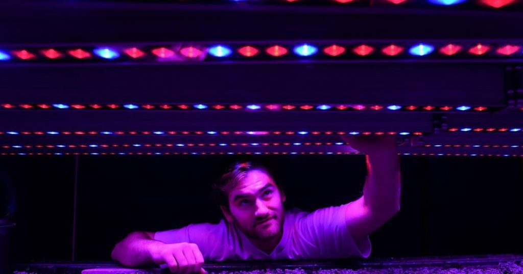 No farm, no problem: Young farmers get their start in the industry in other ways