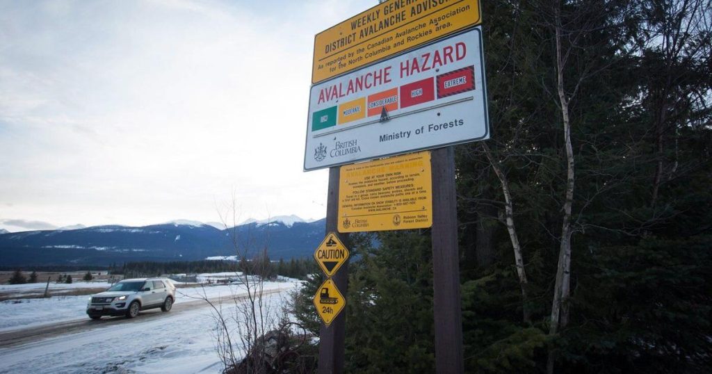 Ripe avalanche conditions for parts of B.C. expected to persist this week: forecaster