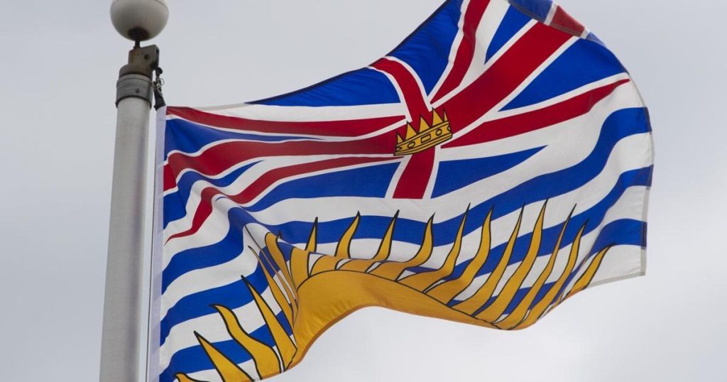 Helicopter team rescues unconscious skier after fall at B.C.’s Mt. Cain