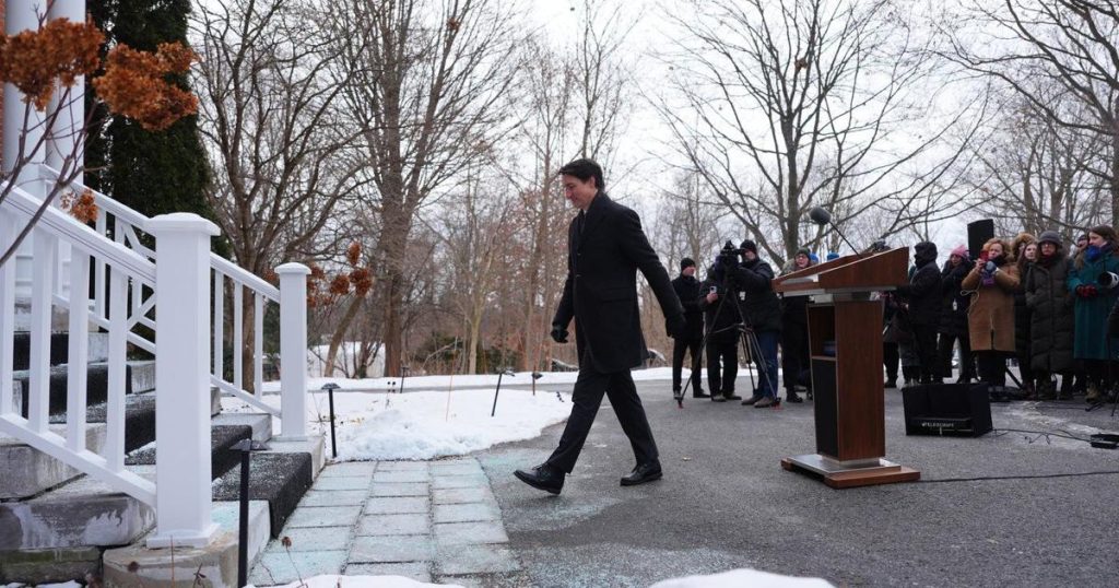 Liberals split on how quickly to proceed with choosing new leader