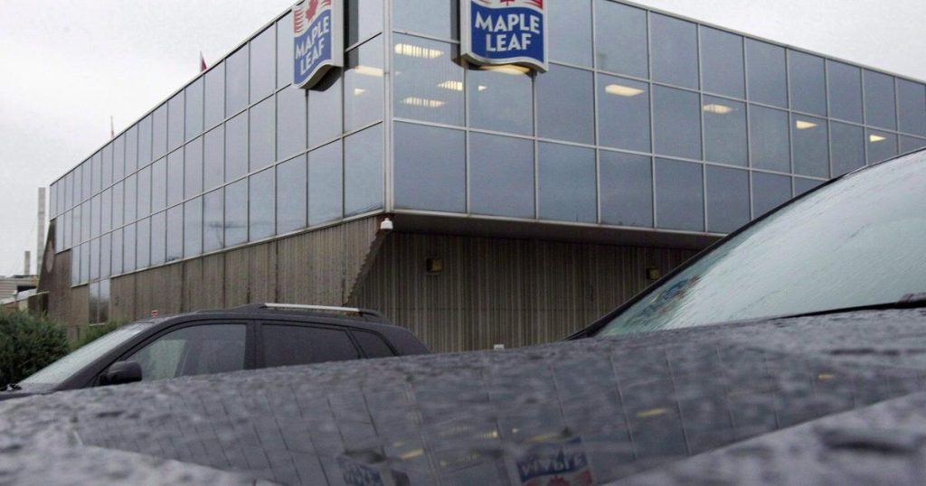 Maple Leaf Foods raising quarterly dividend as it works to complete pork spin off