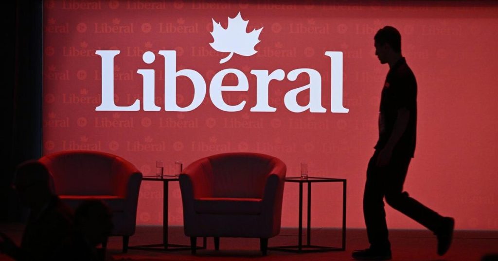 Liberal leadership race: A look at the potential candidates