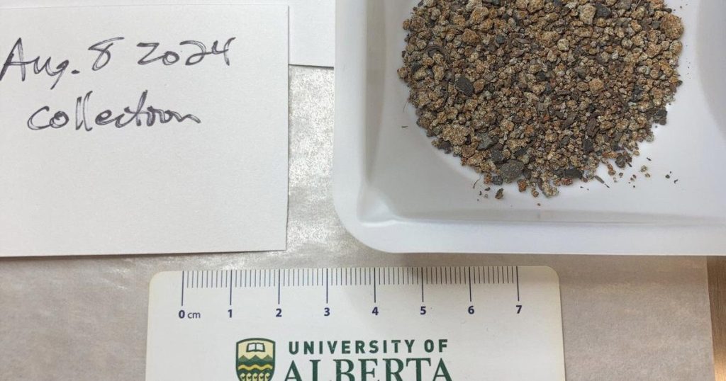 Sound and video of meteorite crashing to Earth captured on video in P.E.I.