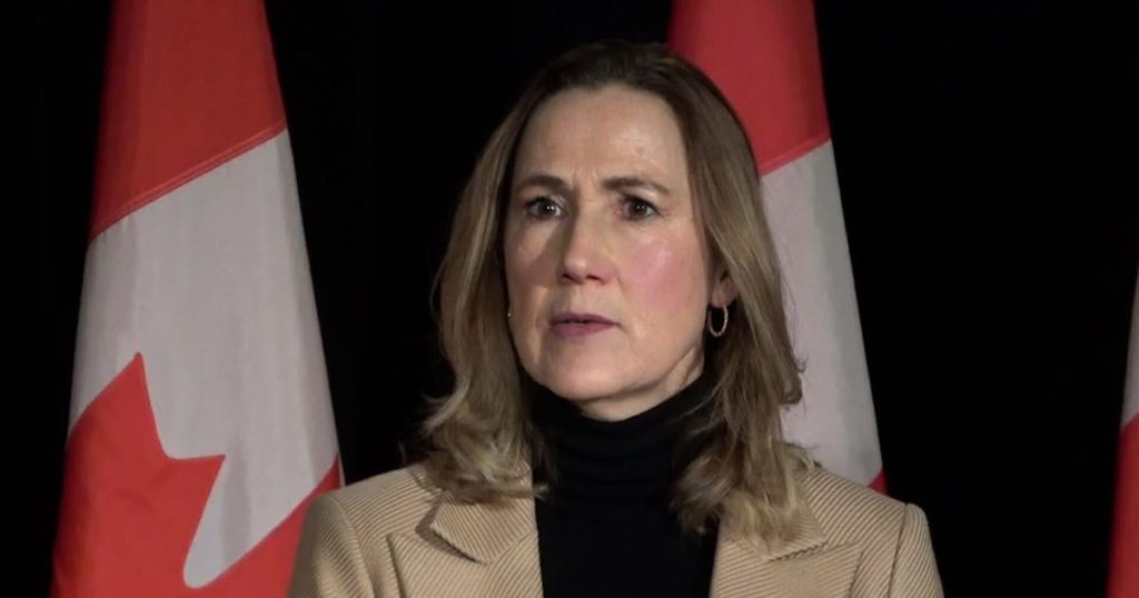 Trump’s attack on Canada a distraction tactic, Canadian ambassador says |