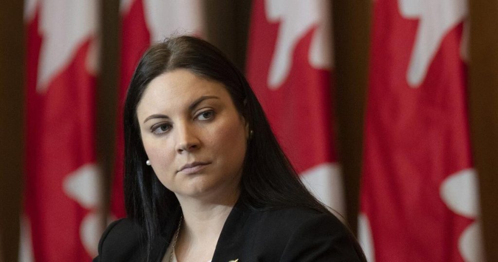Fredericton Liberal member of Parliament Jenica Atwin not running for re-election