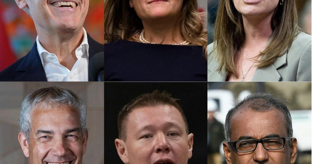 Who’s in and who’s out of the Liberal leadership race