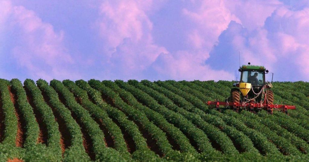 P.E.I. potato farmers want campaign to warn Americans that tariffs raise food prices