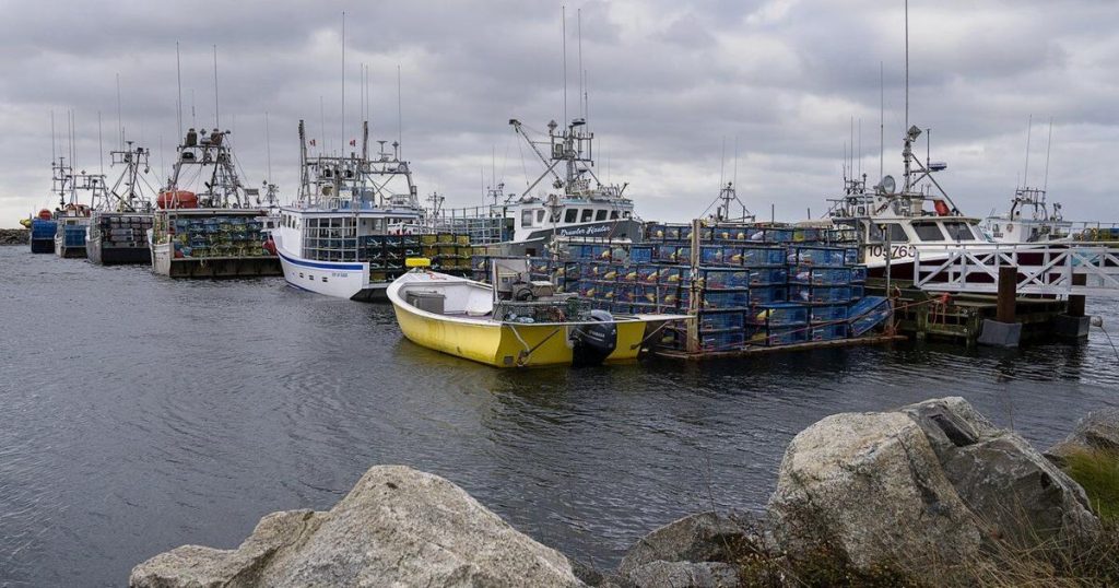 Mi’kmaq chiefs in Nova Scotia reject latest federal offer for a livelihood fishery