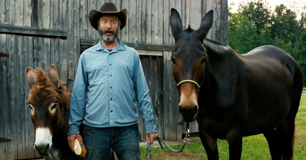 Tom Green says he’s in the best place of his life after health and career setbacks |