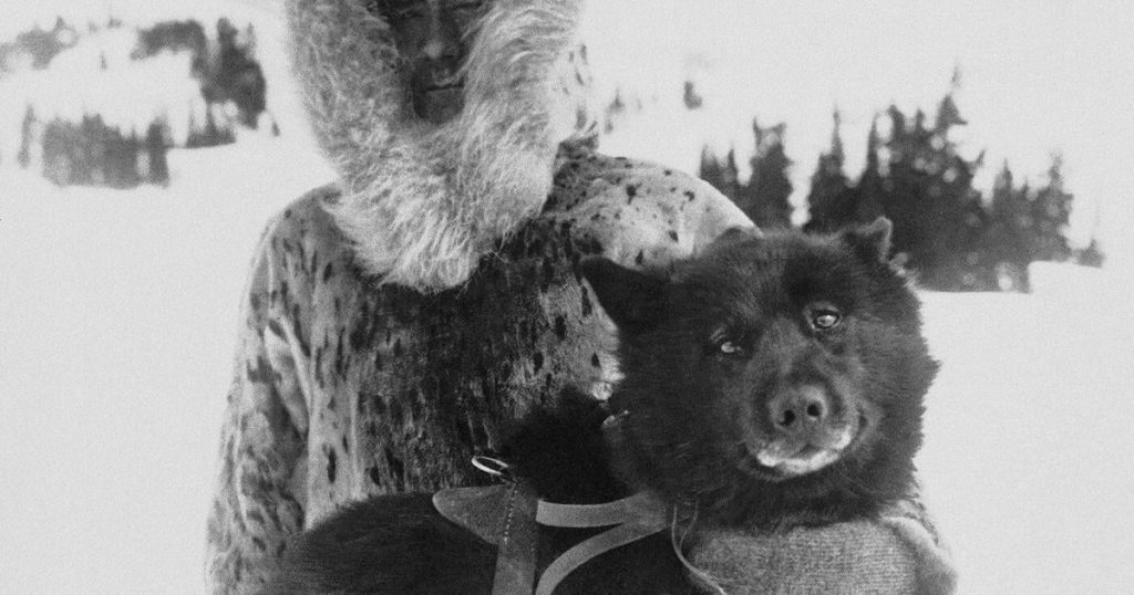 Mushers and dogs braved a horrific Alaska winter to deliver lifesaving serum 100 years ago
