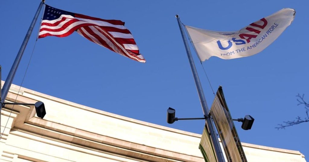 What is USAID? Explaining the US foreign aid agency and why Trump and Musk want to end it
