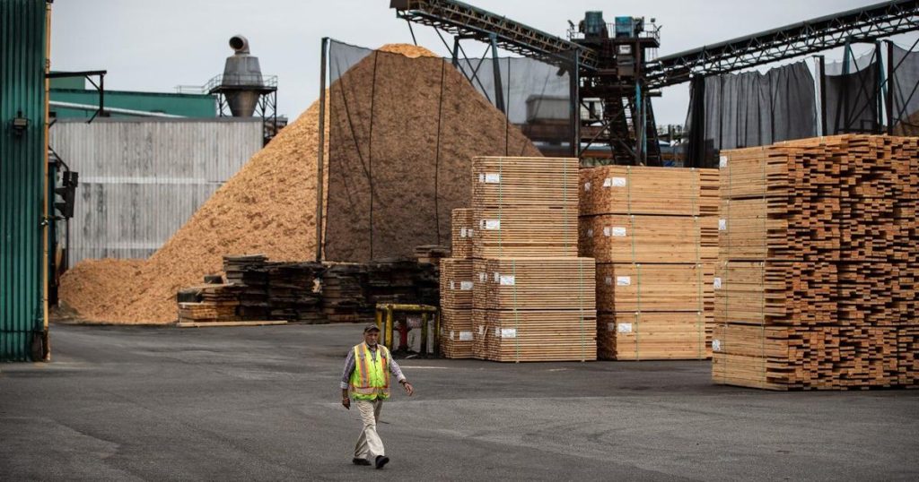 Canada’s forestry sector faces uncertainty with 25 per cent U.S. tariffs